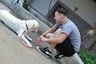 Vets Adopt Pets - Service Dogs for U.S. Military Veterans