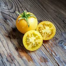 Image result for Lycopersicon esculentum
  ( Sorbet de Citron Tomato )