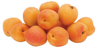 Image result for apricot