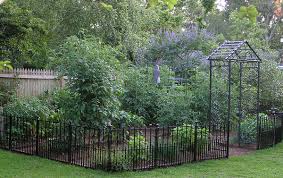 Tetradium daniellii var. hupehensis에 대한 이미지 검색결과