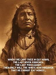 Image result for native american indian