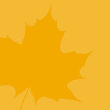 Wilfrid Laurier University - News update