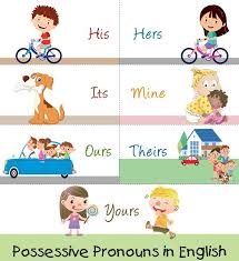 Image result for pronouns
