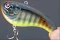 Sebile crankbaits