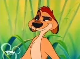 Image result for sarcastic timon