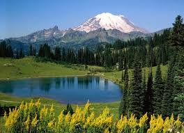 Image result for free download photographs of sunrise