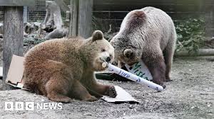 BBC - News update