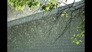 Chennai weather update: Warm temperatures and rain expected