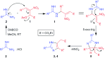 The application of fluorescence-conjugated pyrroleimidazole