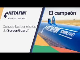 Conoce los BENEFICIOS de ScreenGuard™ | El campeón de los ...