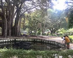 Immagine di Giardino Garibaldi, Palermo