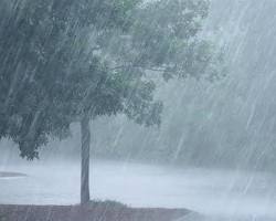 รูปภาพRain