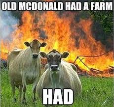 Shouldn&#39;t be this funny | Power Point Announcements | Pinterest ... via Relatably.com