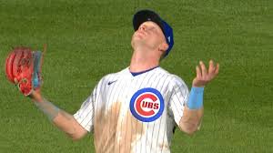 Cubs Celebrate Walk-Off Victory