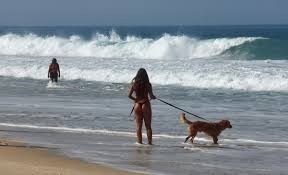 Depois do vendaval Rio deve se preparar para o calor durante toda a semana; temperatura pode chegar a 36 graus na sexta