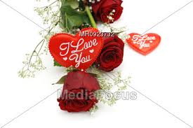 Image result for Love, roses,hearts