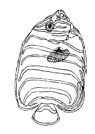 fish coloring pages ile ilgili görsel sonucu