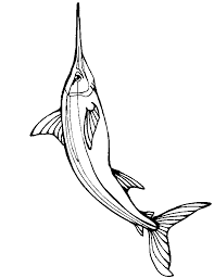fish coloring pages ile ilgili görsel sonucu