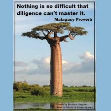 Madagascar 3 Memorable Quotes. QuotesGram via Relatably.com