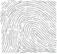 Résultat de recherche d'images pour "fingerprint types"