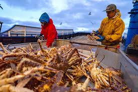 ‘Deadliest Catch’ Season 22 Review: A Series Sails North
