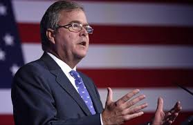 Image result for jeb bush