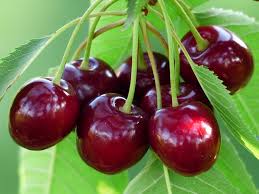 cherry ile ilgili görsel sonucu