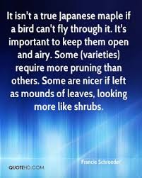 Bird Quotes - Page 7 | QuoteHD via Relatably.com