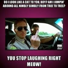 BEST MOVIE EVER on Pinterest | Super Troopers, Movie and Syrup via Relatably.com