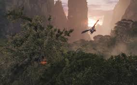 Image result for avatar forest