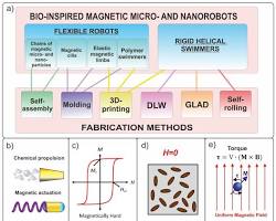 Magnetically controlled nanobots