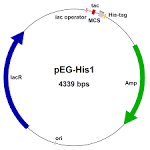 PET-14b Vector