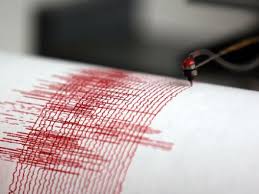 Image result for SEISMOGRAF