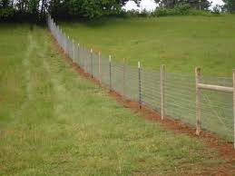 Image result for non climb fence