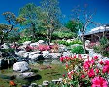 Japanese Garden at the Torrance Cultural Arts Center