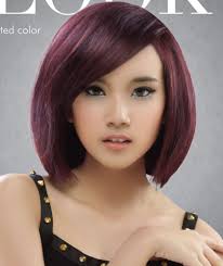 Hasil gambar untuk warna cat rambut