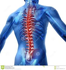 Resultado de imagen para cuerpo humano