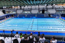 Trend Google: swim