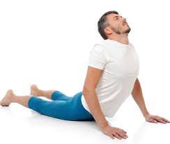 تصویر مرتبط