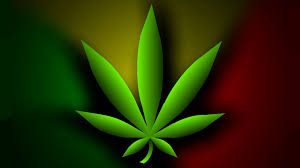 Résultat de recherche d'images pour "cannabis leaf"