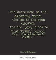 Moths Quotes QUOTEZON via Relatably.com