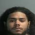 Suspect broke into 10 vehicles, Wayne police say