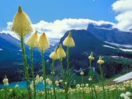 Image result for pictures gallery for amazing places of the world