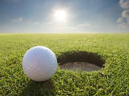 Image result for golf