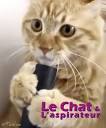 Compilation de chat trs drle avec des chutes -