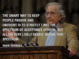 Noam Chomsky on Pinterest | Morals, Quote and Freedom via Relatably.com