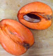 Résultat de recherche d'images pour "sapote"