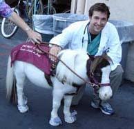 Image result for minature horse shoes