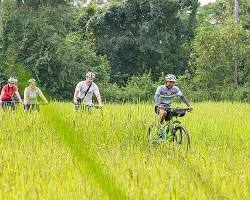 Image of Mountain biking in Siem Reap, Cambodia