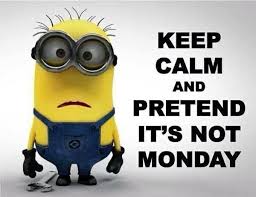 Image result for funny images of minions